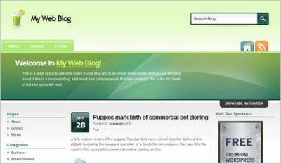 cool-wordpress-themes18 cool-wordpress-themes18