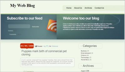 cool-wordpress-themes19 cool-wordpress-themes19