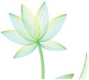 ベクトルドローイングによるスタイリッシュな花