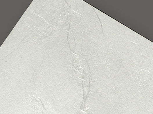 和紙(食品銀龍)のイメージ